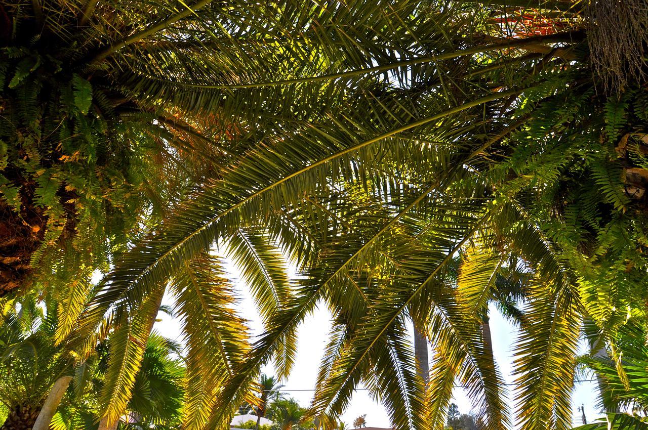 Hotel Twin Palms at Siesta Siesta Key Exterior foto